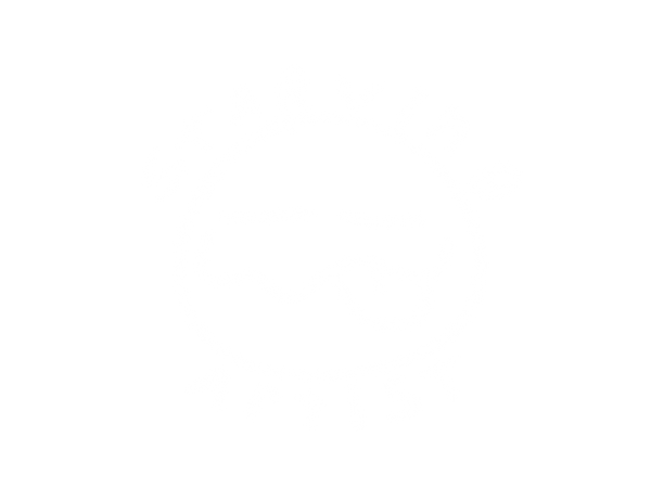 STARVING ARTIST